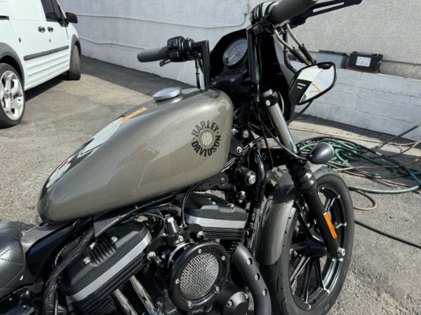 Used-2019-Harley-Davidson-Iron-833