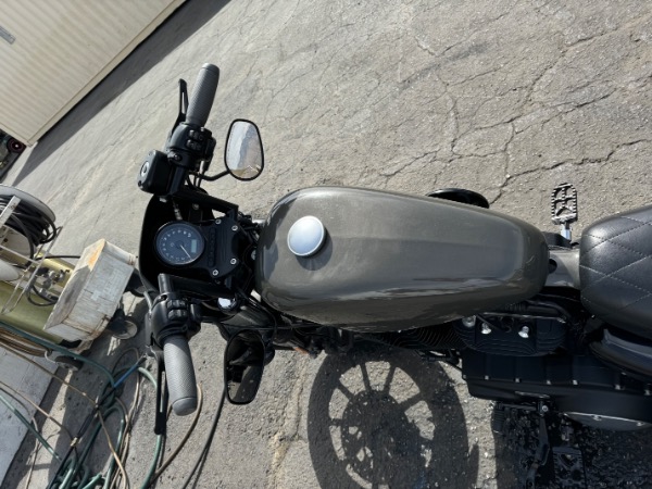 Used-2019-Harley-Davidson-Iron-833