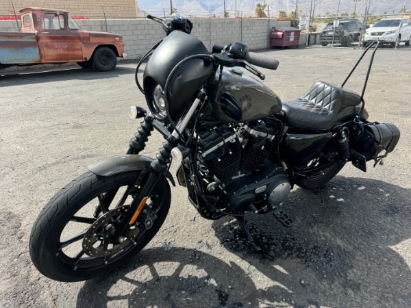 Used-2019-Harley-Davidson-Iron-833