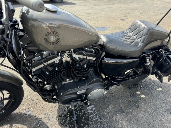 Used-2019-Harley-Davidson-Iron-833