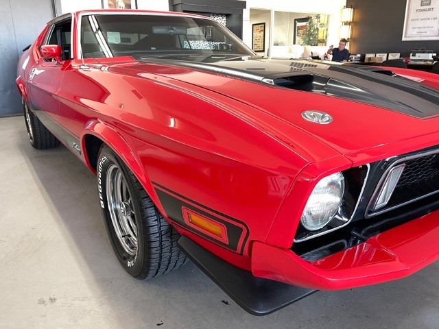 Indoor-Autoabdeckung passend für Ford Mustang 1 1964-1973 Black with red  striping spezielle Design