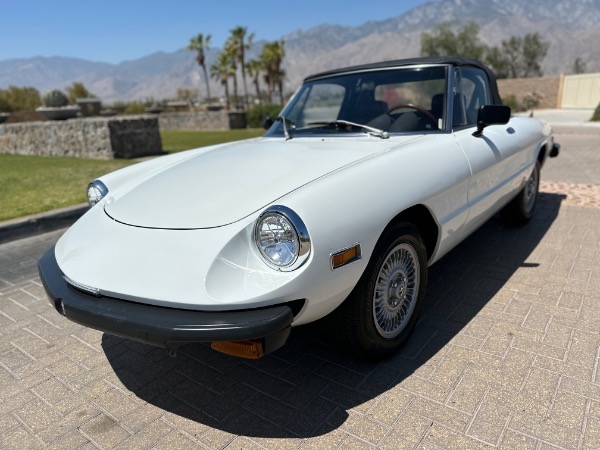 Used-1976-Alfa-Romeo-Spider