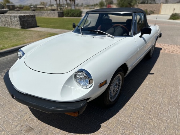 Used-1976-Alfa-Romeo-Spider