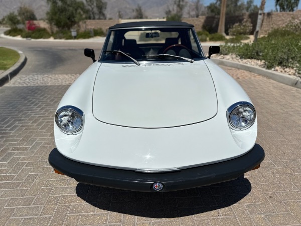 Used-1976-Alfa-Romeo-Spider